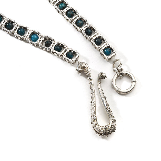 WILLIAM - Rabbit in the Hat